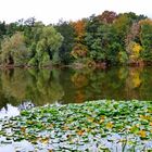 Teufelssee Müggelberge