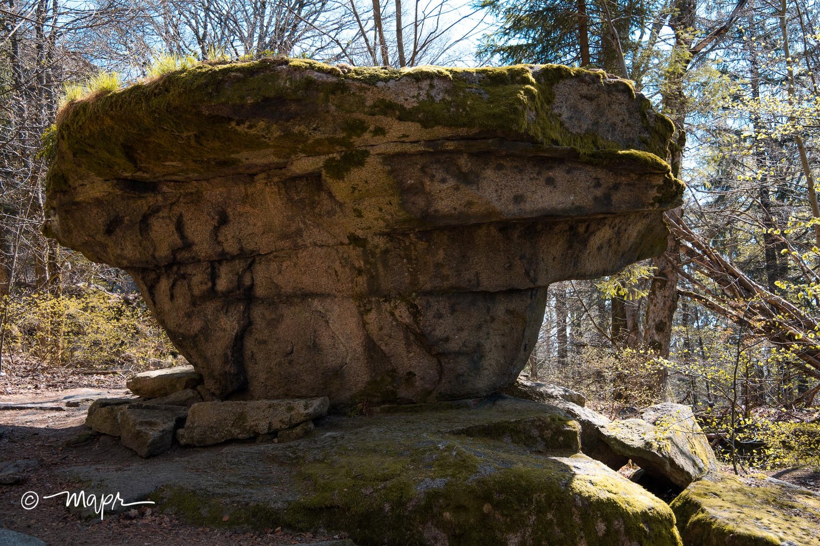 Teufelstisch am Großen Waldstein im Fichtelgebirge