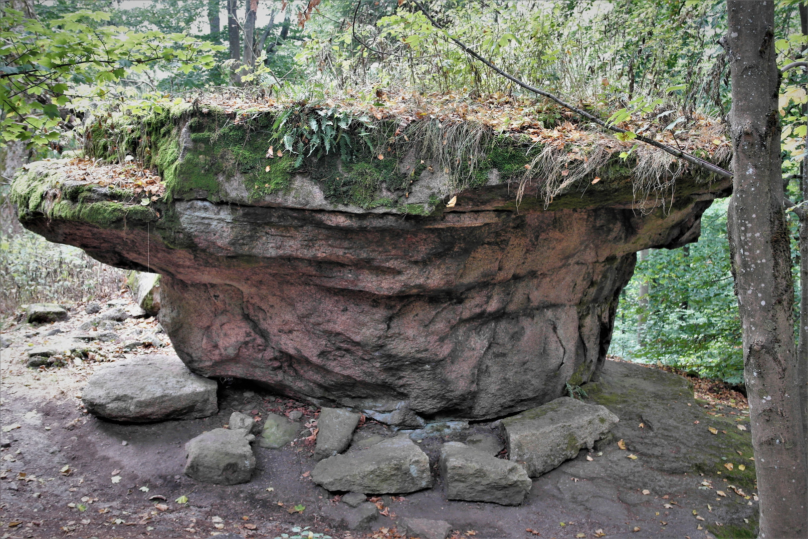 TEUFELSTISCH am Waldsteinrundweg