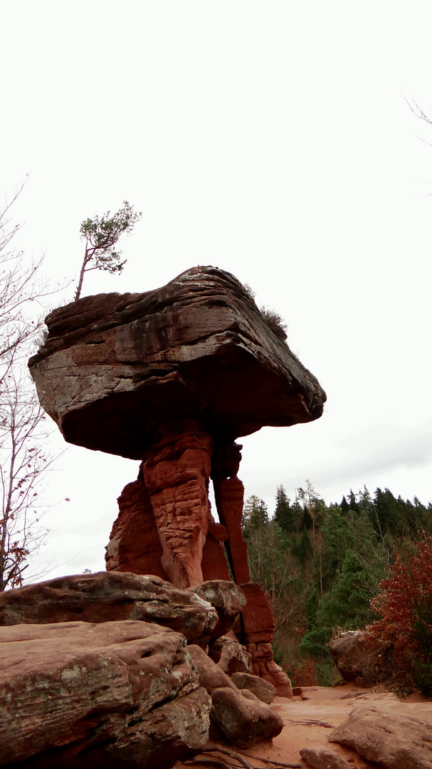 Teufelstisch Hinderweidenthal in voller Größe