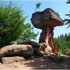 Teufelstisch im Dahner Felsenland / Pfalz