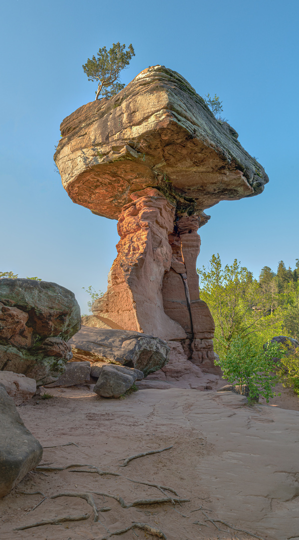 Teufelstisch im Dahner Felsenland, Pfalz, Deutschland