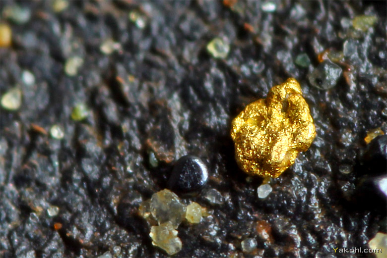 Teures Goldnugget