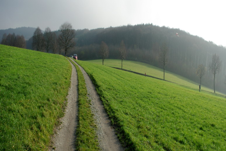 Teutobergerwald