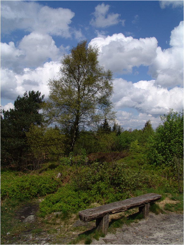 Teutoburger Wald 01