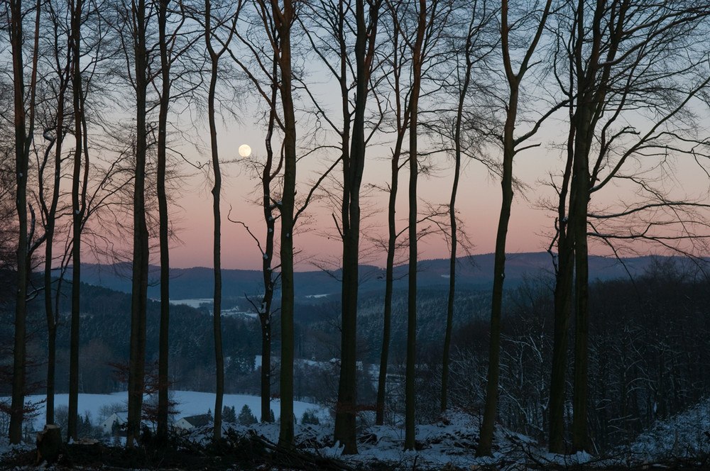 Teutoburger Wald