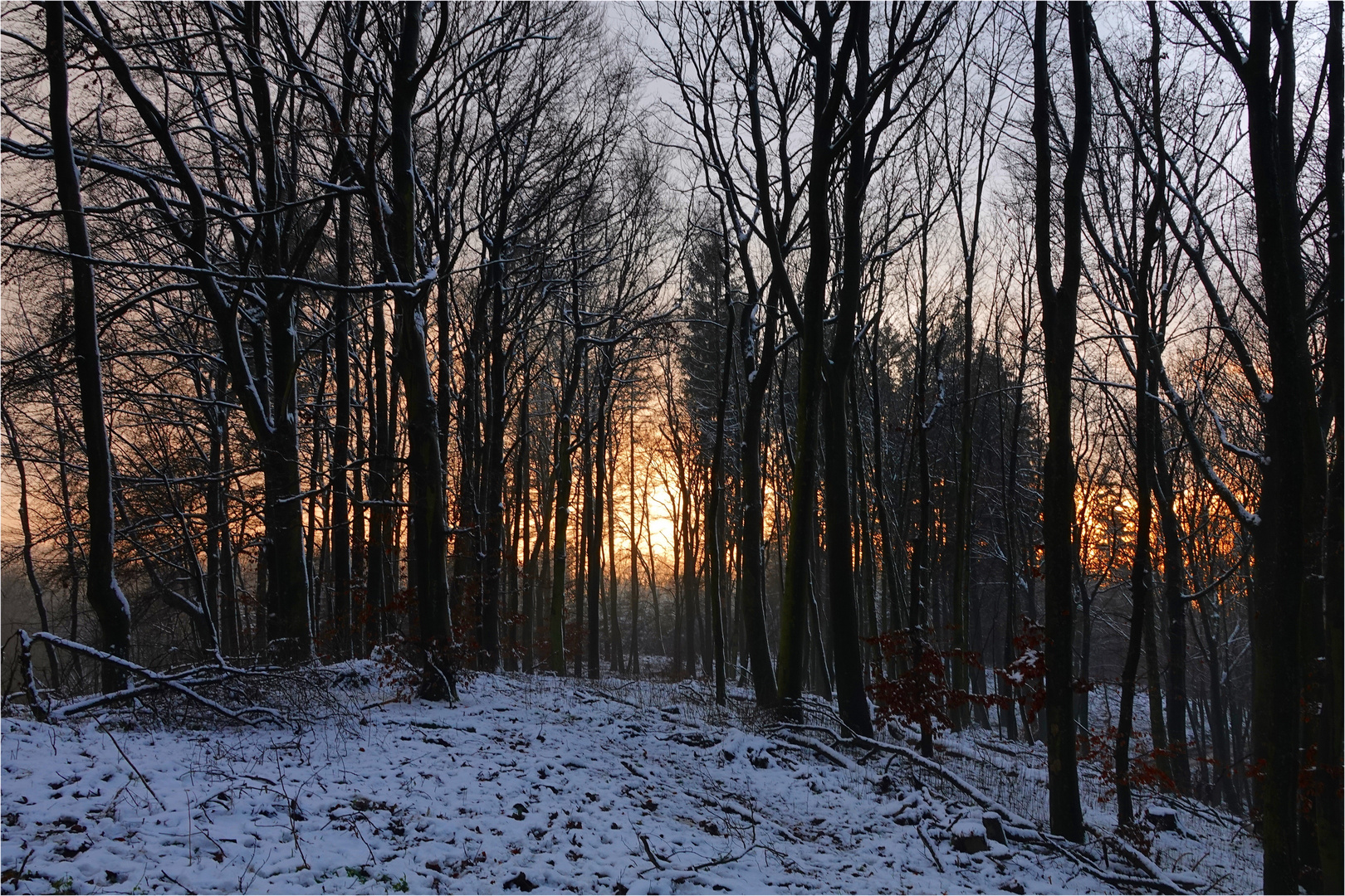 Teutoburger Wald