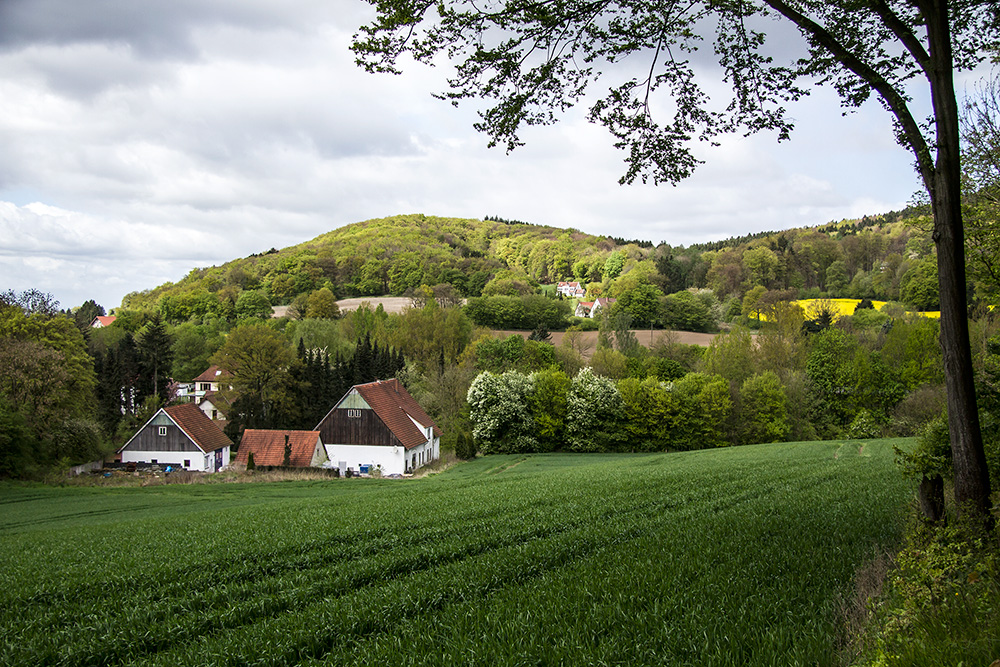 Teutoburger Wald