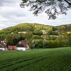 Teutoburger Wald