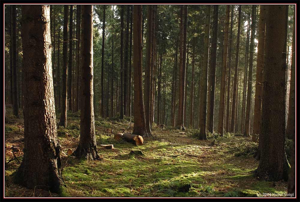 Teutoburger Wald an einem sonnigen Dezember Tag