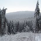 Teutoburger Wald bei Bielefeld