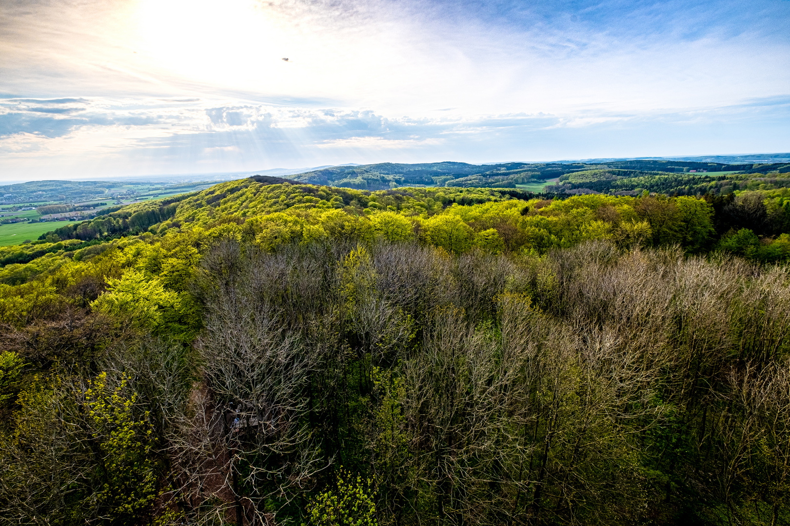 Teutoburger Wald bei Dissen