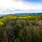 Teutoburger Wald bei Dissen