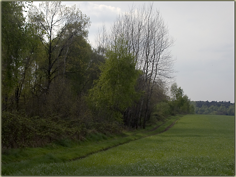 Teutoburger Wald bei Ibbenbüren