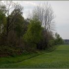 Teutoburger Wald bei Ibbenbüren