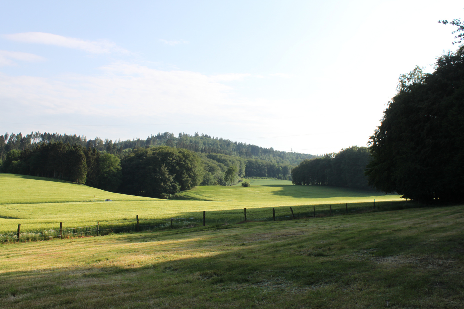 Teutoburger Wald Idylle