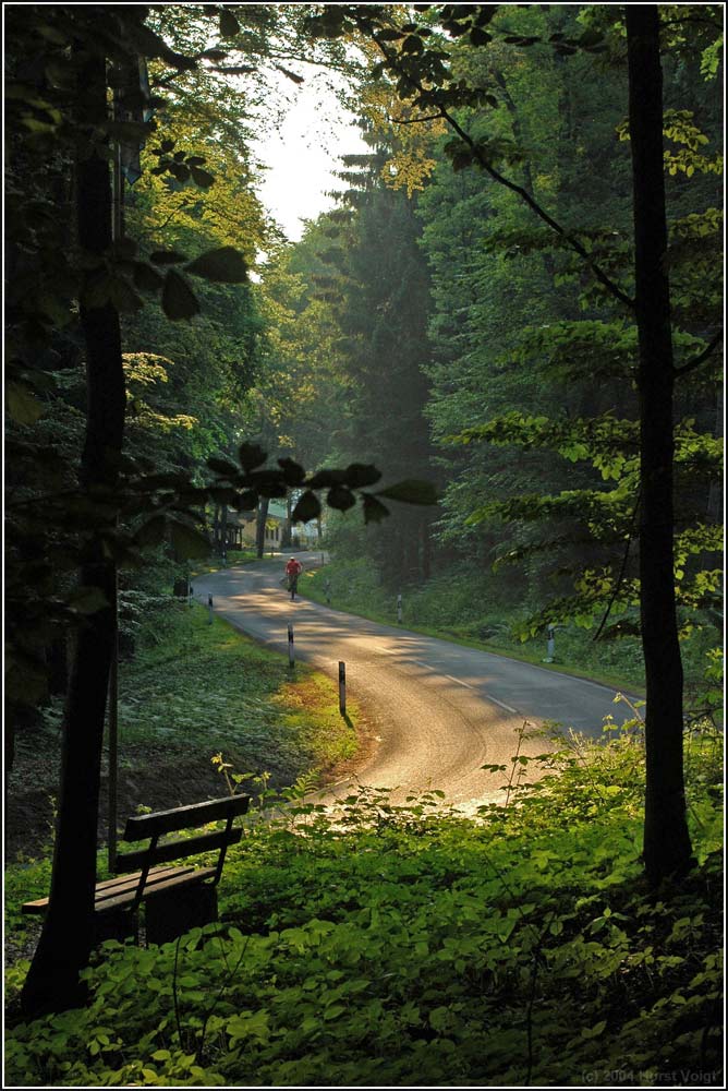 Teutoburger Wald im Frühsommer