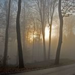 Teutoburger Wald im Nebel