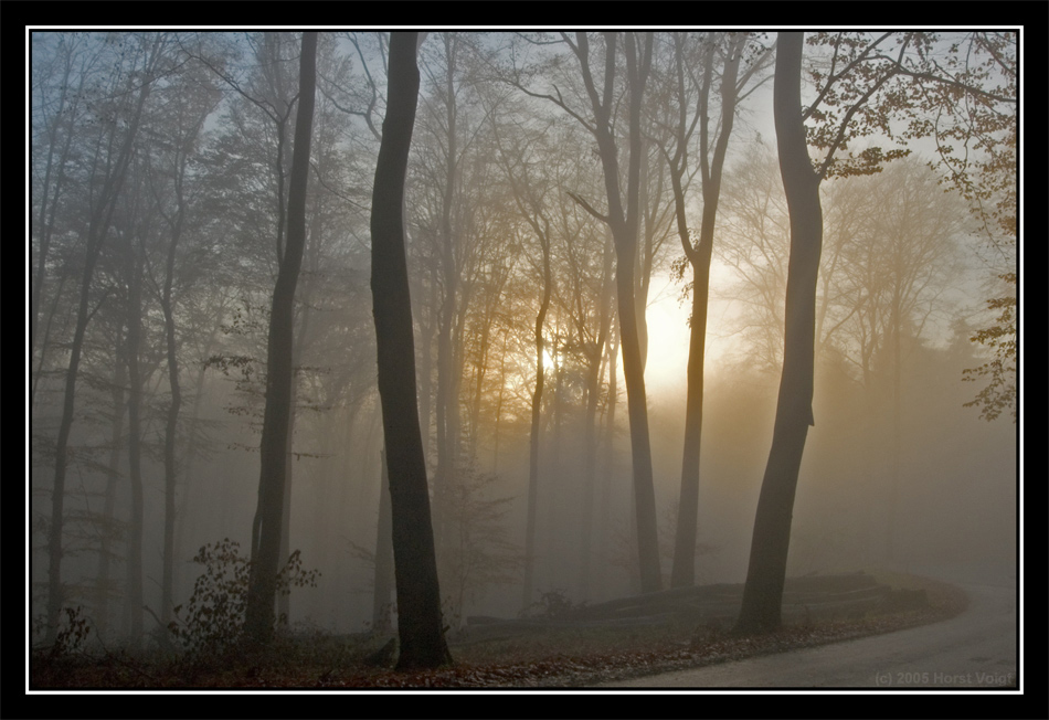 Teutoburger Wald im Nebel (Reload)