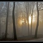 Teutoburger Wald im Nebel (Reload)