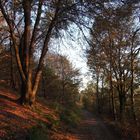 Teutoburgerwald bei Sonnenuntergang