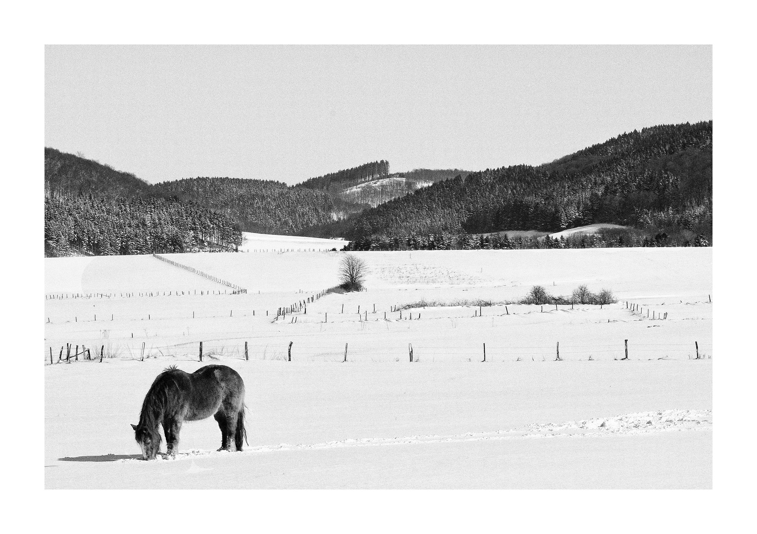 Teutsche Landen - Gegend 10