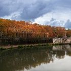 Tevere in autunno