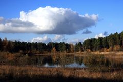 Teverener Heide .4