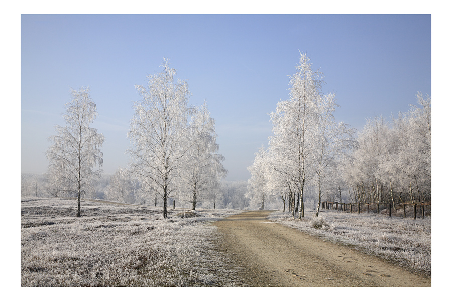 Teverener Heide