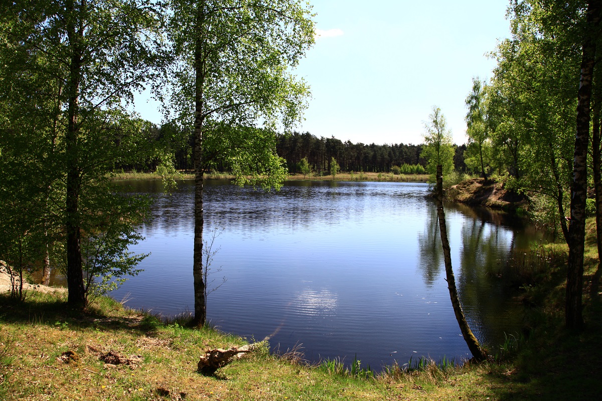 Teverener Heide