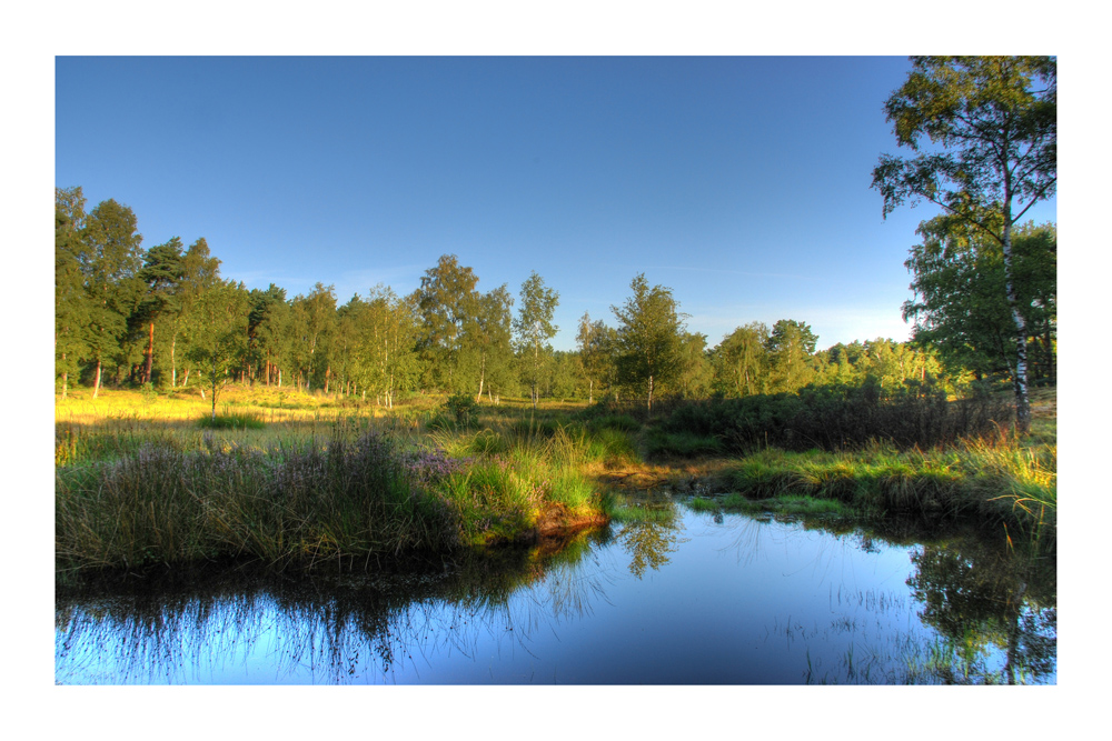 Teverener Heide - Moorgebiet "Wiggelewak"