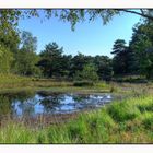 Teverener Heide - Teich im Moor