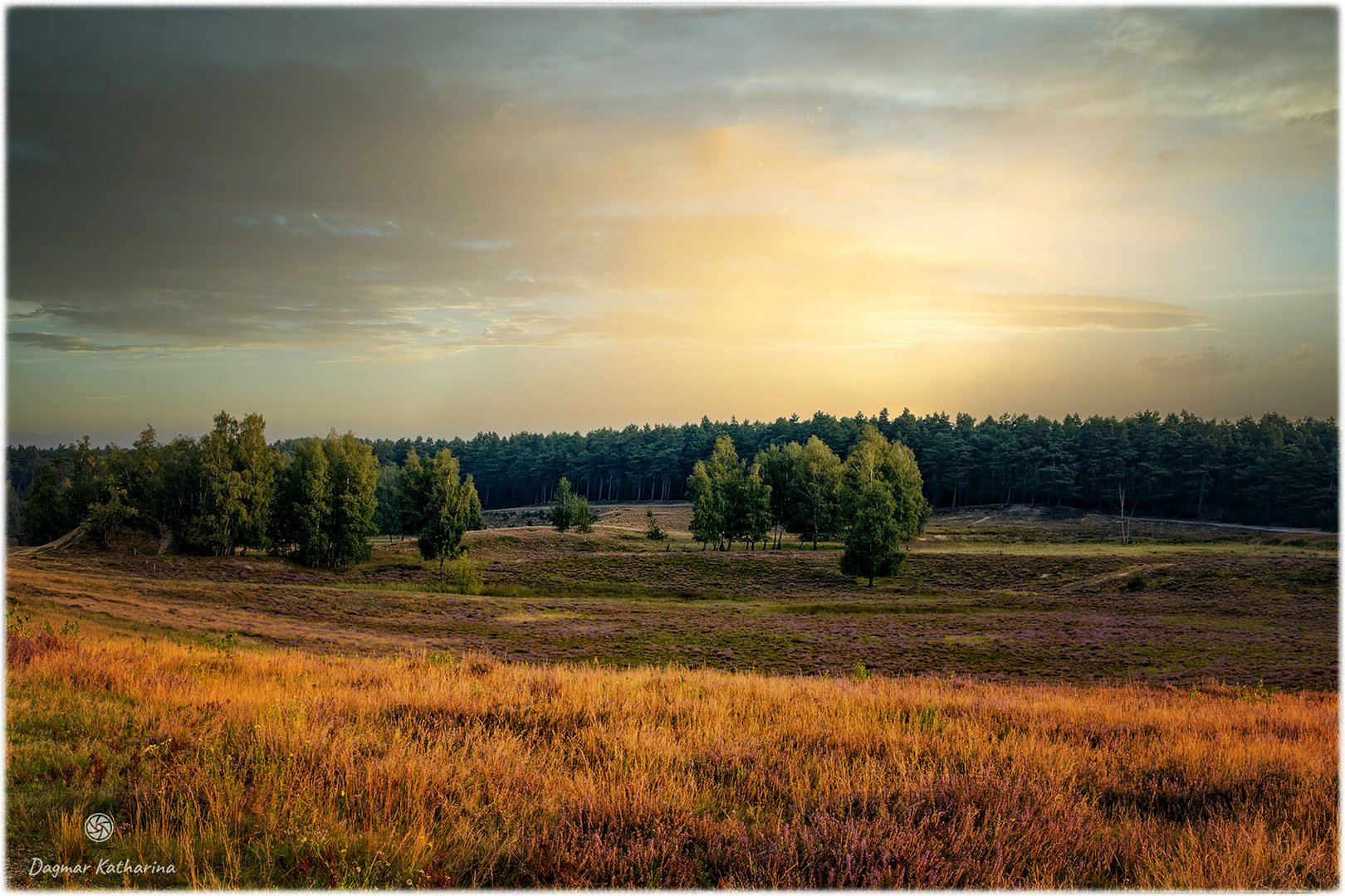 Teverner Heide