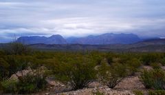 Texas - Big Bend NP 01