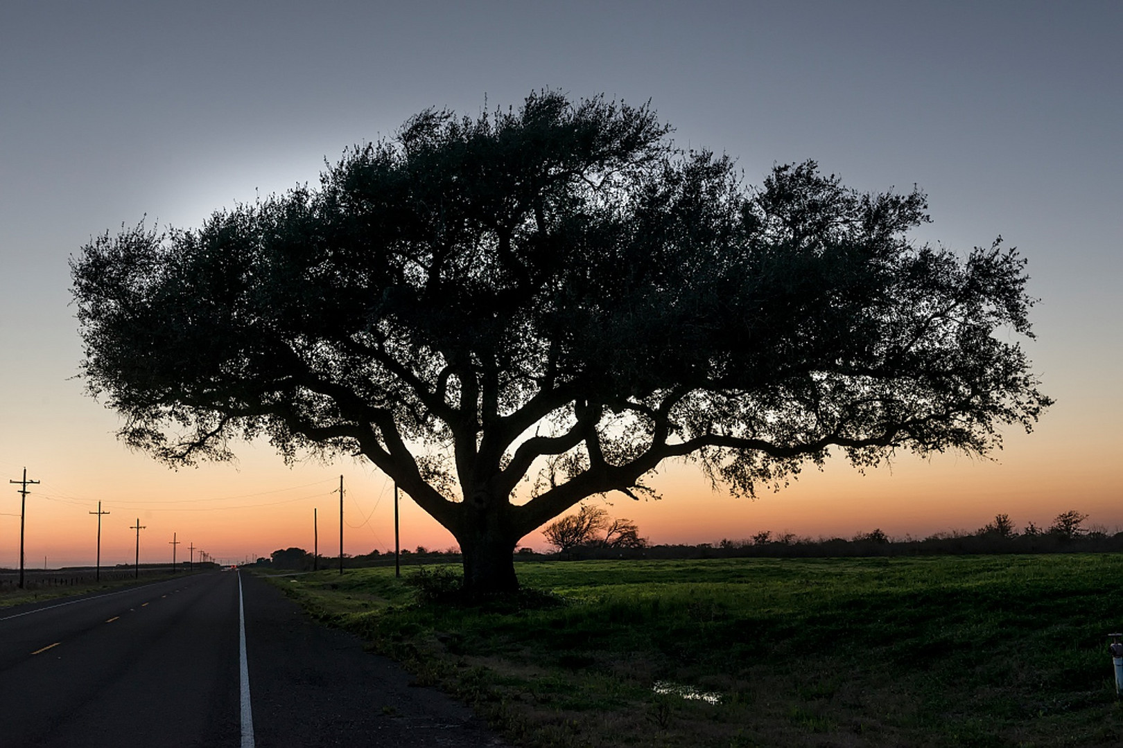 texas by night