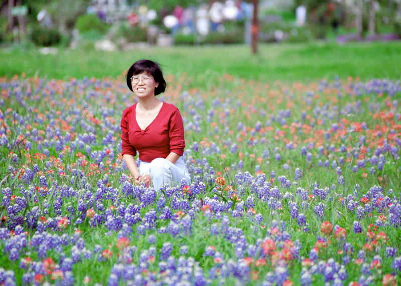 Texas in Bloom Bluebonnets and Indian Paint Brushes