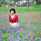 Texas in Bloom Bluebonnets and Indian Paint Brushes