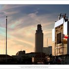 TexaS LonghornS HomE