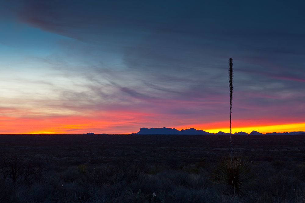 Texas Sky