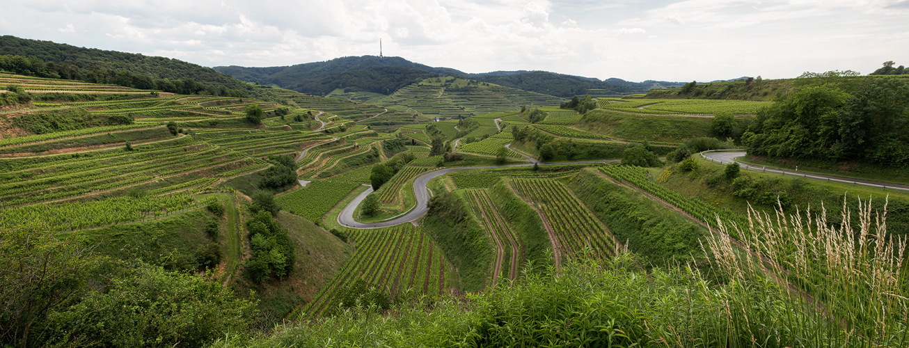 Texaspass am Kaiserstuhl 