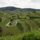 Texaspass am Kaiserstuhl 