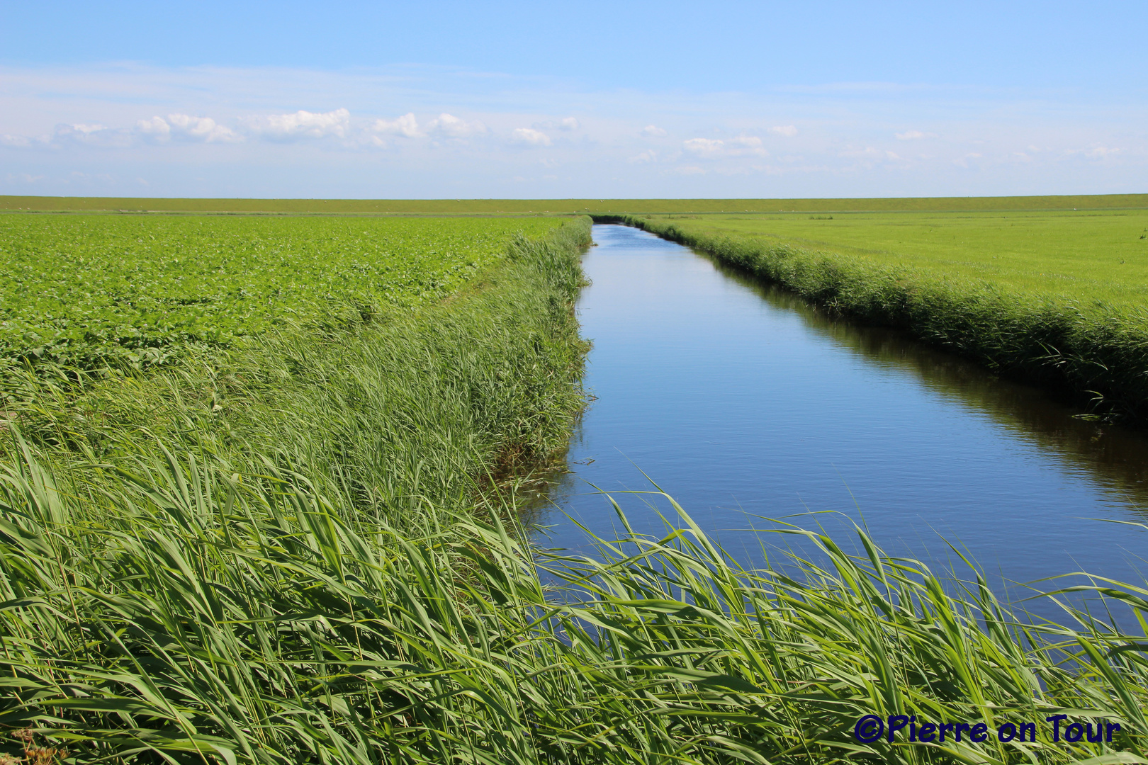 Texel