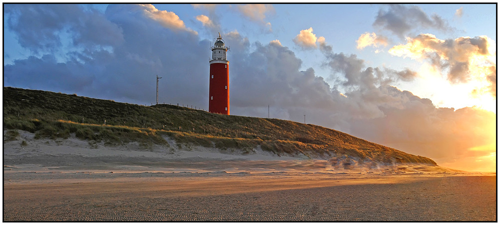 Texel (1)