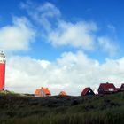 Texel 12