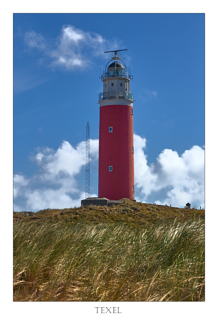 Texel