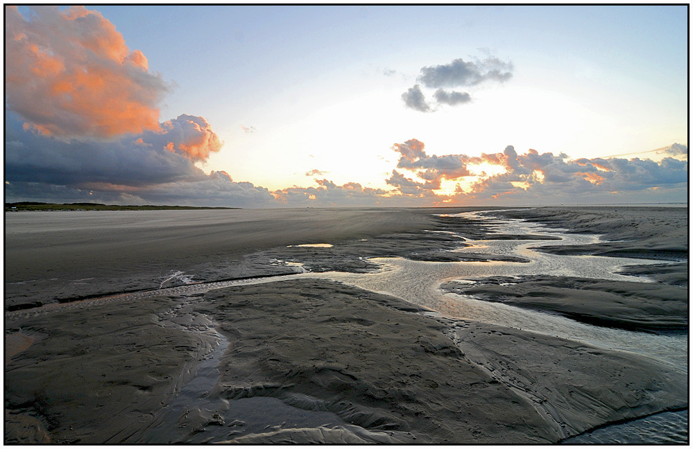 Texel (2)