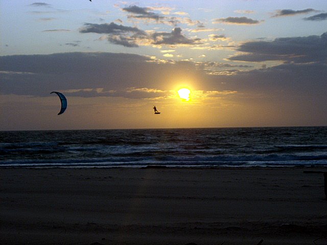 Texel 2009