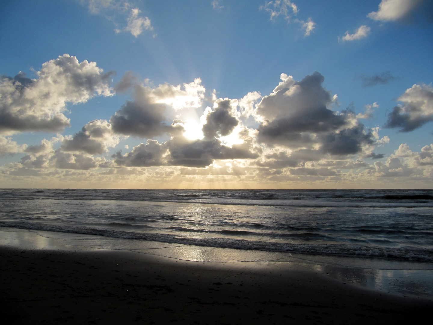 Texel (2010)