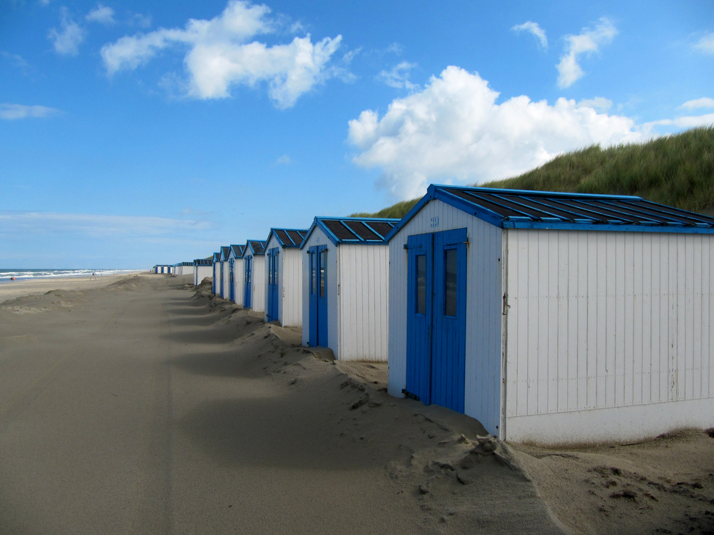 Texel (2010)