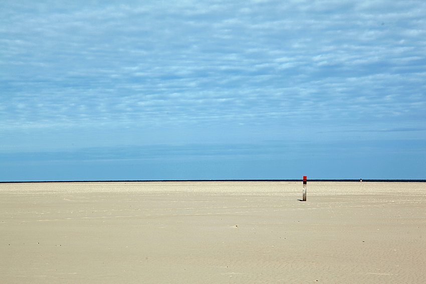 Texel 2012